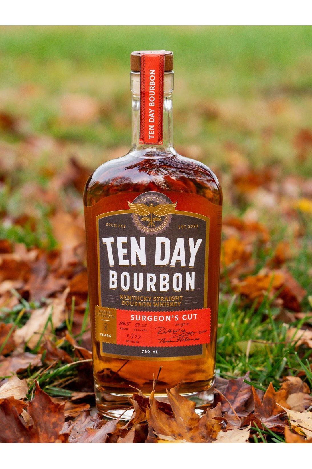 Ten Day Surgeon's Cut